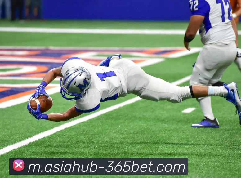 365bet平台生态图